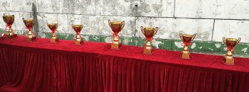 2016年江门珠中江“元老杯