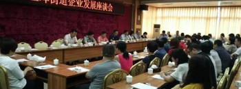 三埠街道办事处联合三埠商会举办“企业发展座谈会”