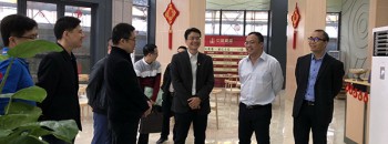 开平市庞书记调研三埠街道“中禧豪庭”工程项目