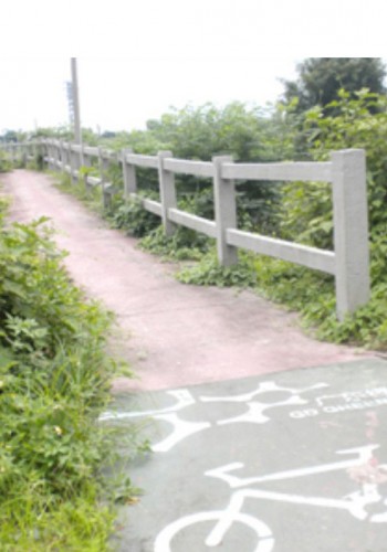 开平城市与社区绿道工程