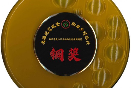 决胜脱贫攻坚 助力乡村振兴 2019年度江门市杜鹃花慈善捐赠奖-铜奖