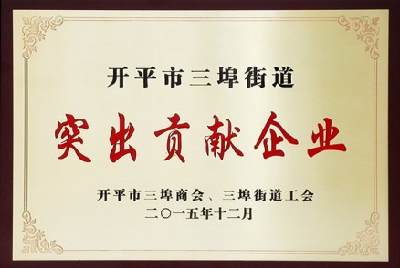 开平市三埠街道突出贡献企业-2015年12月