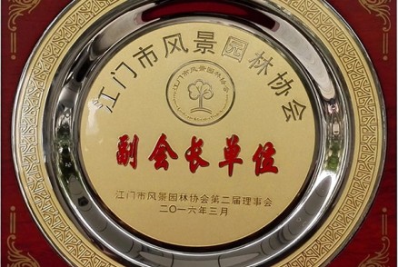 风景园林协会-副会长单位