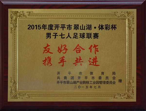 2015年度开平市翠山湖体彩杯男子七人足球联赛 牌匾.jpg