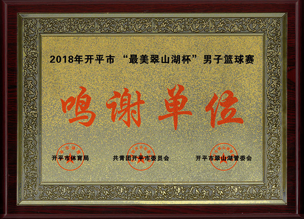 2018年开平市“最美翠山湖杯”男子篮球赛.jpg